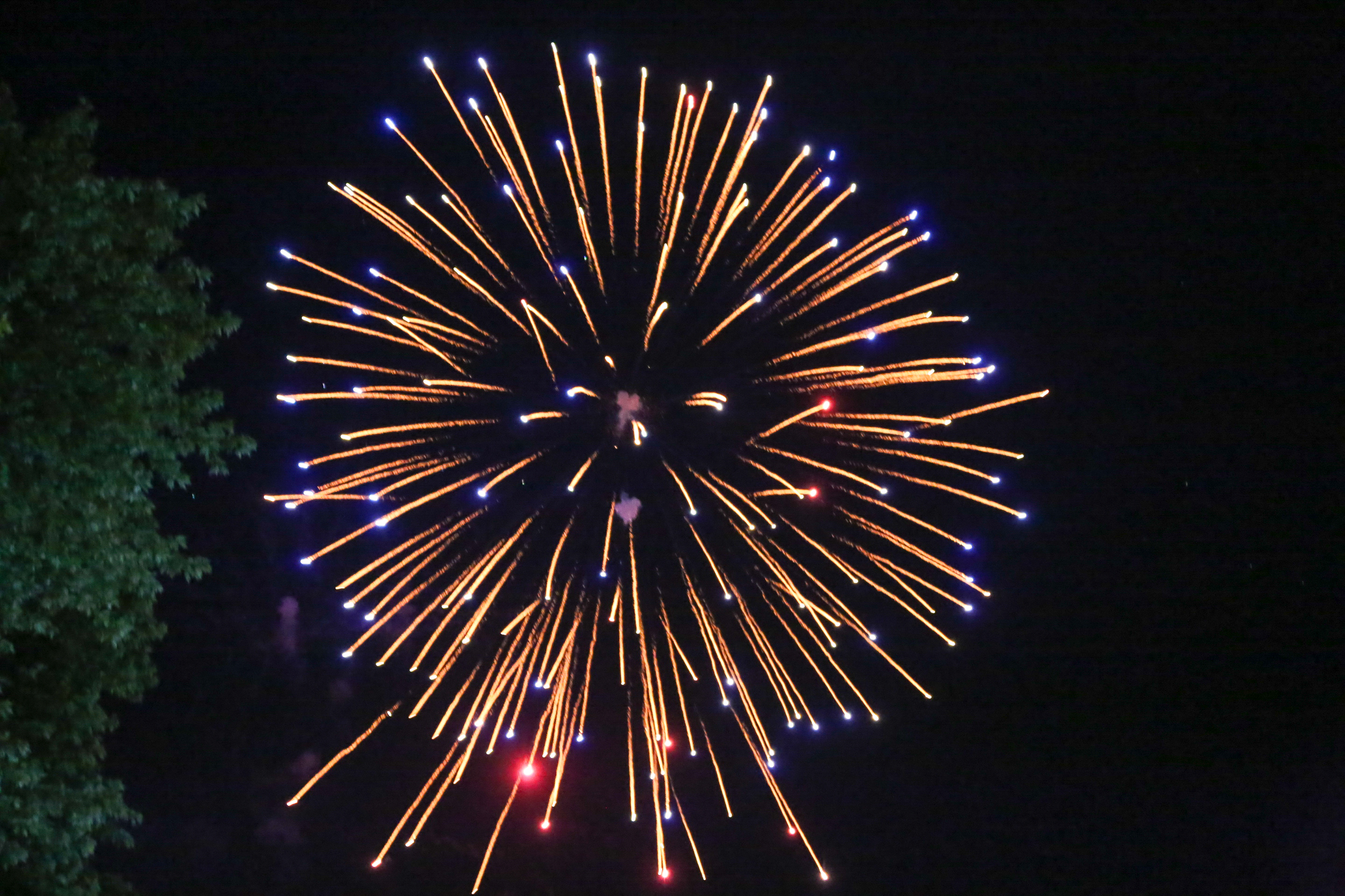 Fireworks Spectacular